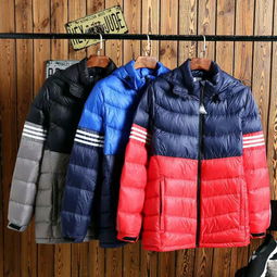 夢芝蘭休閑羽絨服 創(chuàng)業(yè)者不容錯過的服裝批發(fā)機遇